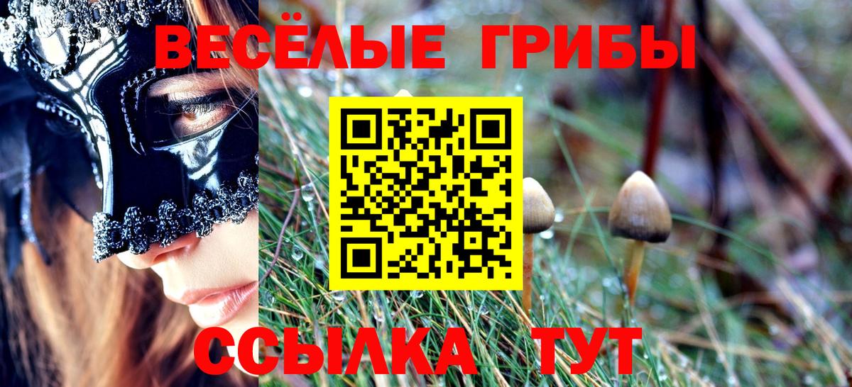 Псилоцибиновые грибы прущие грибы Верхняя Пышма